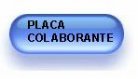 PLACA COLABORANTE  steel deck- placa entrepiso